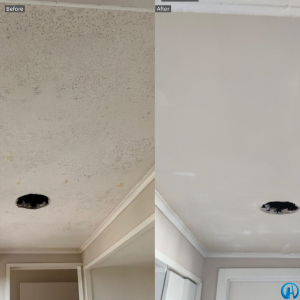 Interior Painting project by HD Contractor