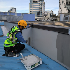 Building Maintenance project by HD Contractor in Auckland